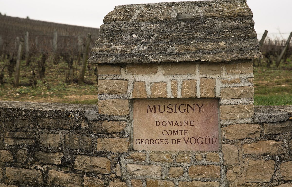 Pressoir Dinner - Musigny Grand Cru