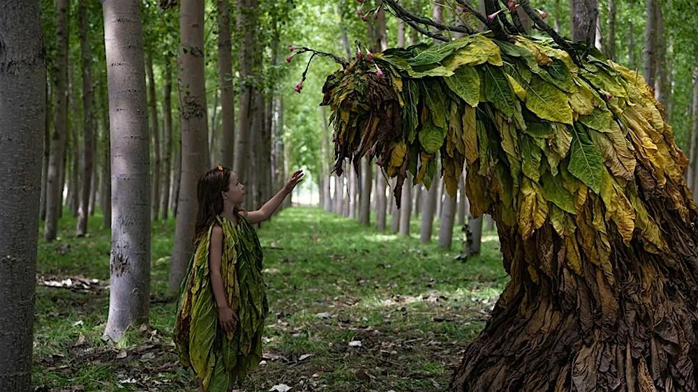 Mujeres de Cine 2023: Secaderos