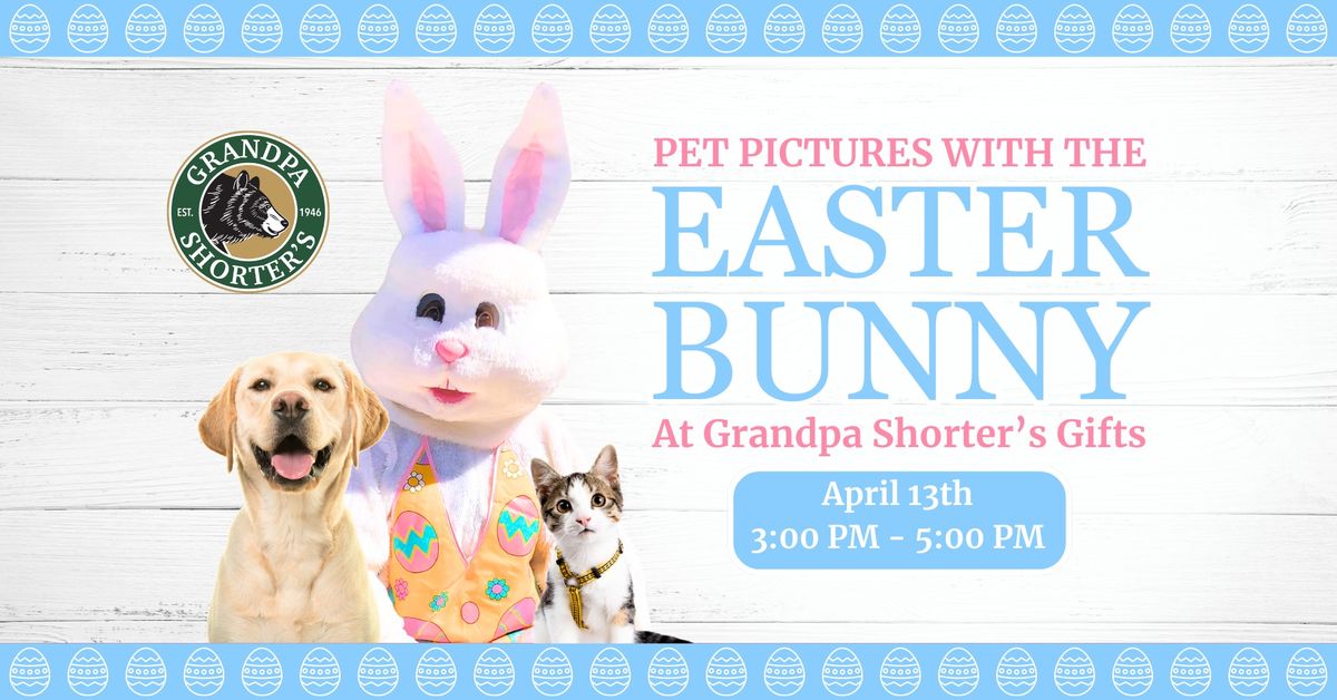 Pet Pictures With The Easter Bunny - Downtown Petoskey (4\/13)