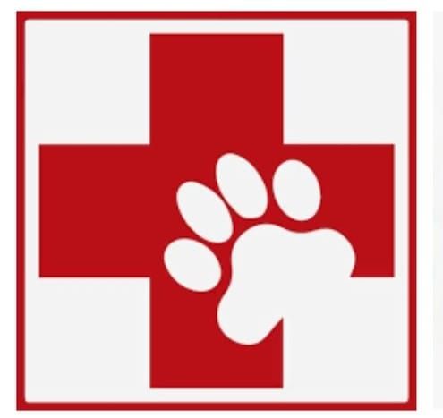 Pet First Aid Training Course