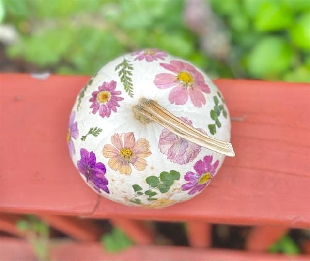 Pressed Flower Pumpkins