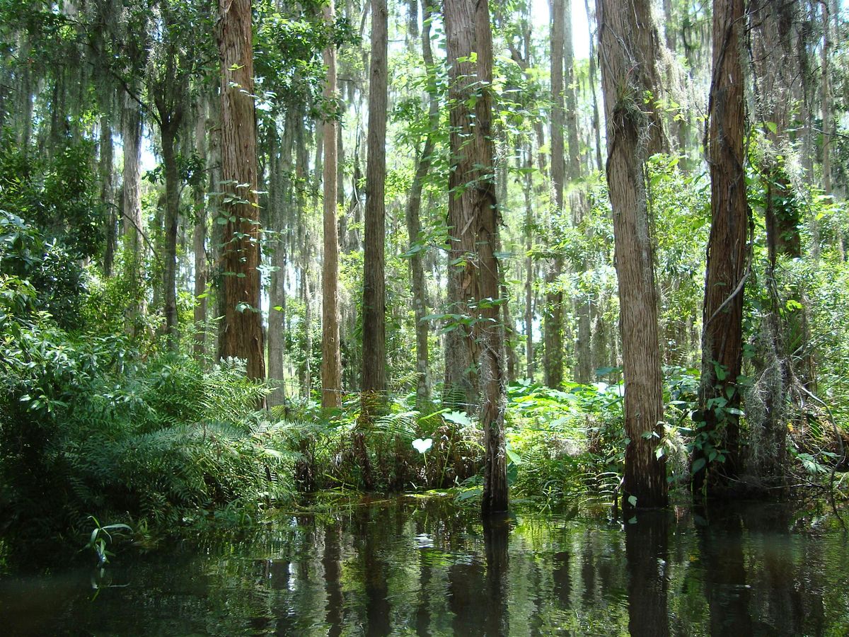 Hike off the Turkey at Shingle Creek North (Hunters Creek)