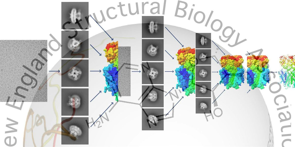 New England Structural Biology CryoEM mini symposia - October 3rd 2024