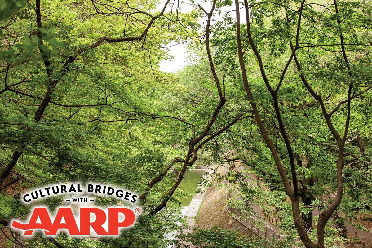 Cultural Bridges With AARP: Forest Bathing (Shinrin-yoku) and Architecture Tour