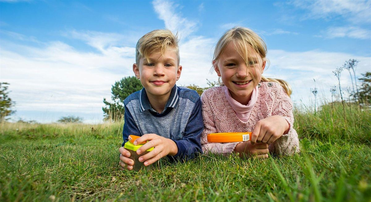 Family event Buzzing Bees and Beautiful Butterflies Woolley Firs Maidenhead - 2 August