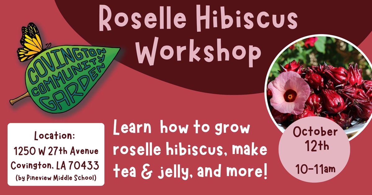 Roselle Hibiscus Workshop