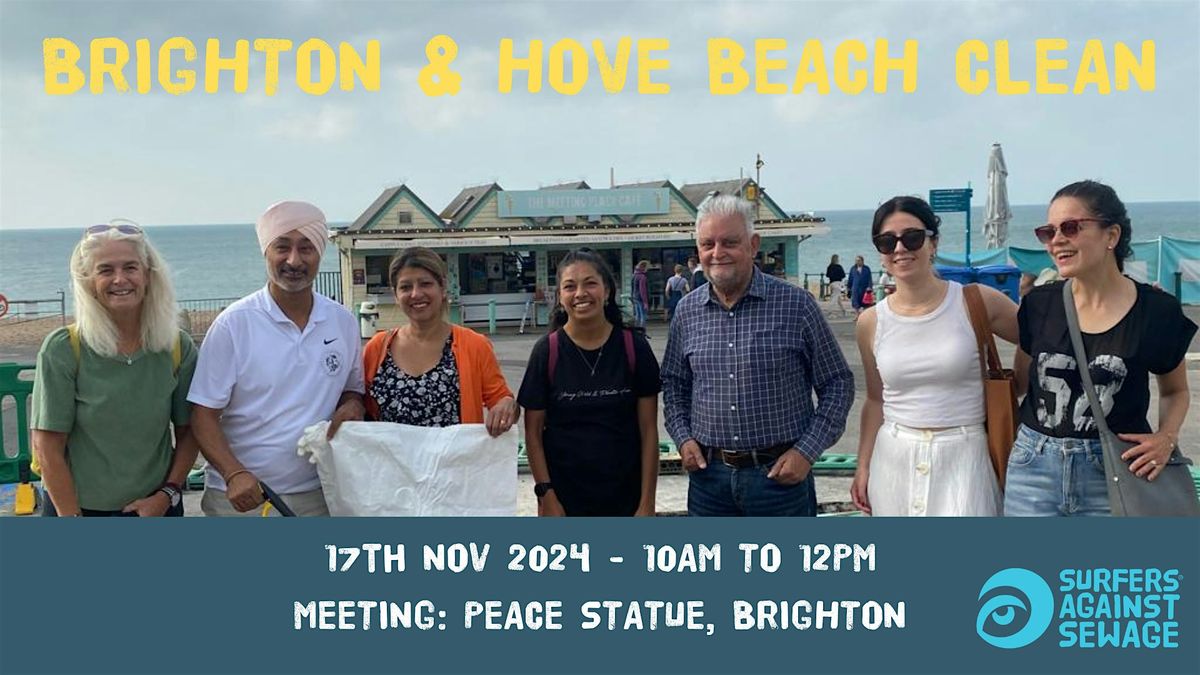 Brighton and Hove beach clean