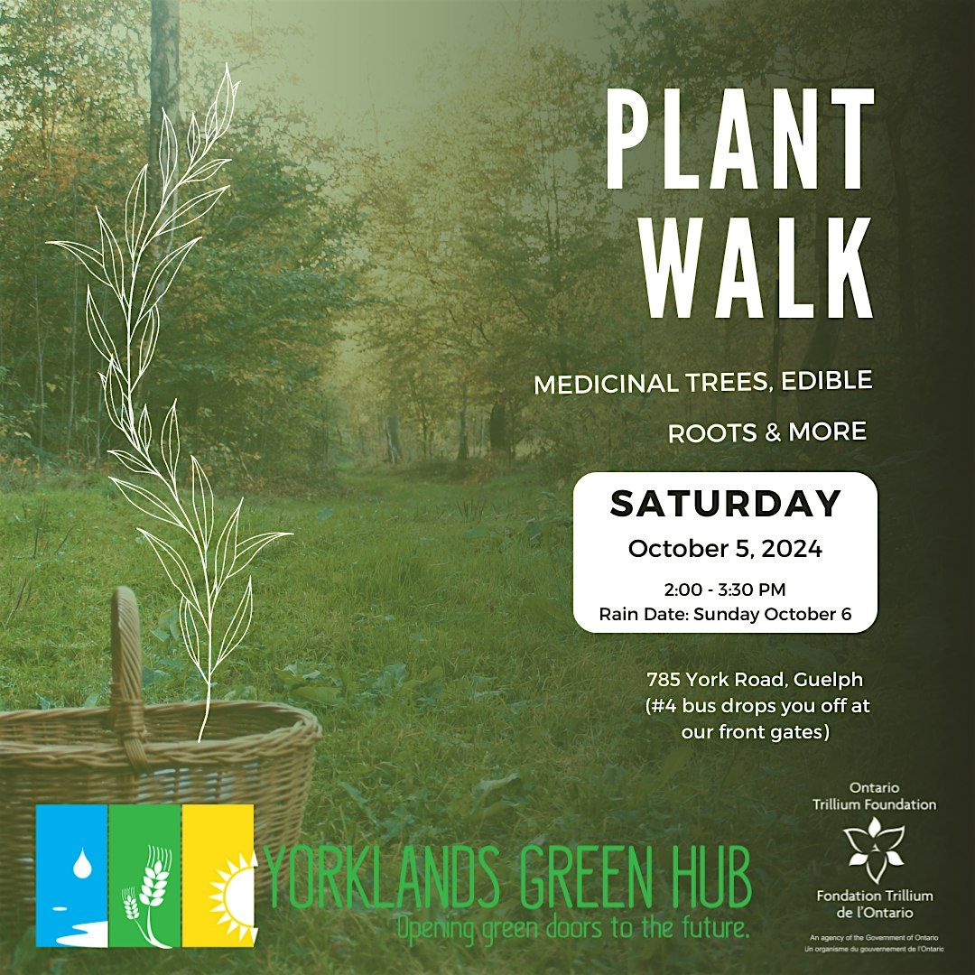 Plant Walk: Medicinal Trees, Edible Roots, & more