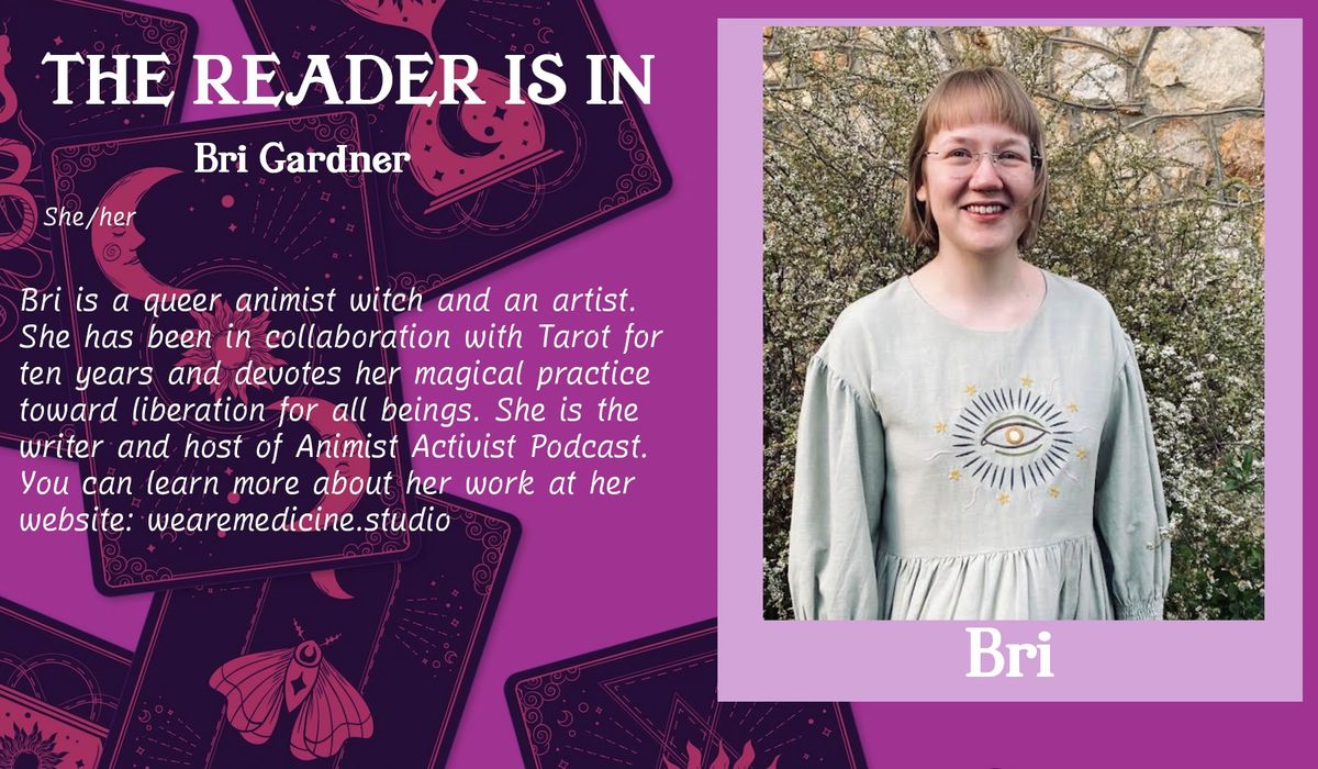 The Reader Is In: Bri Gardner