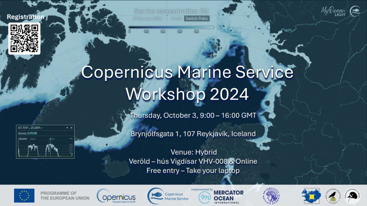 Copernicus Marine Service \u200b Workshop 2024