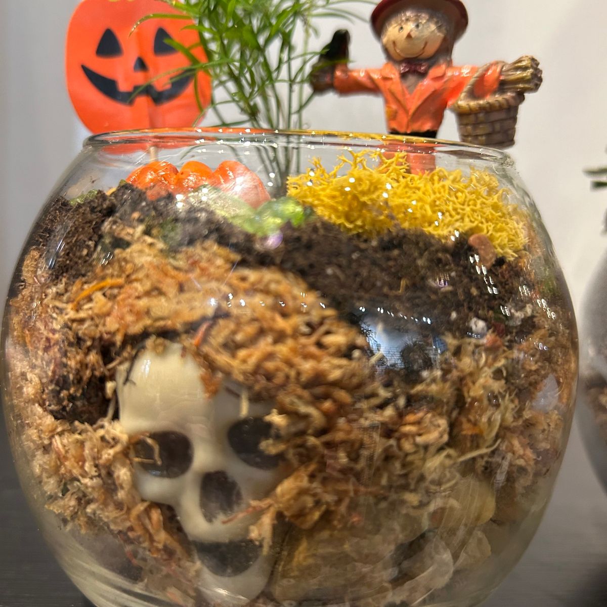  Build your own Spooky \ud83d\udc80terrarium \ud83c\udf83