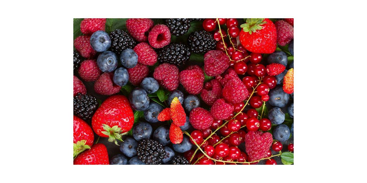 Healthy Brains and Berries
