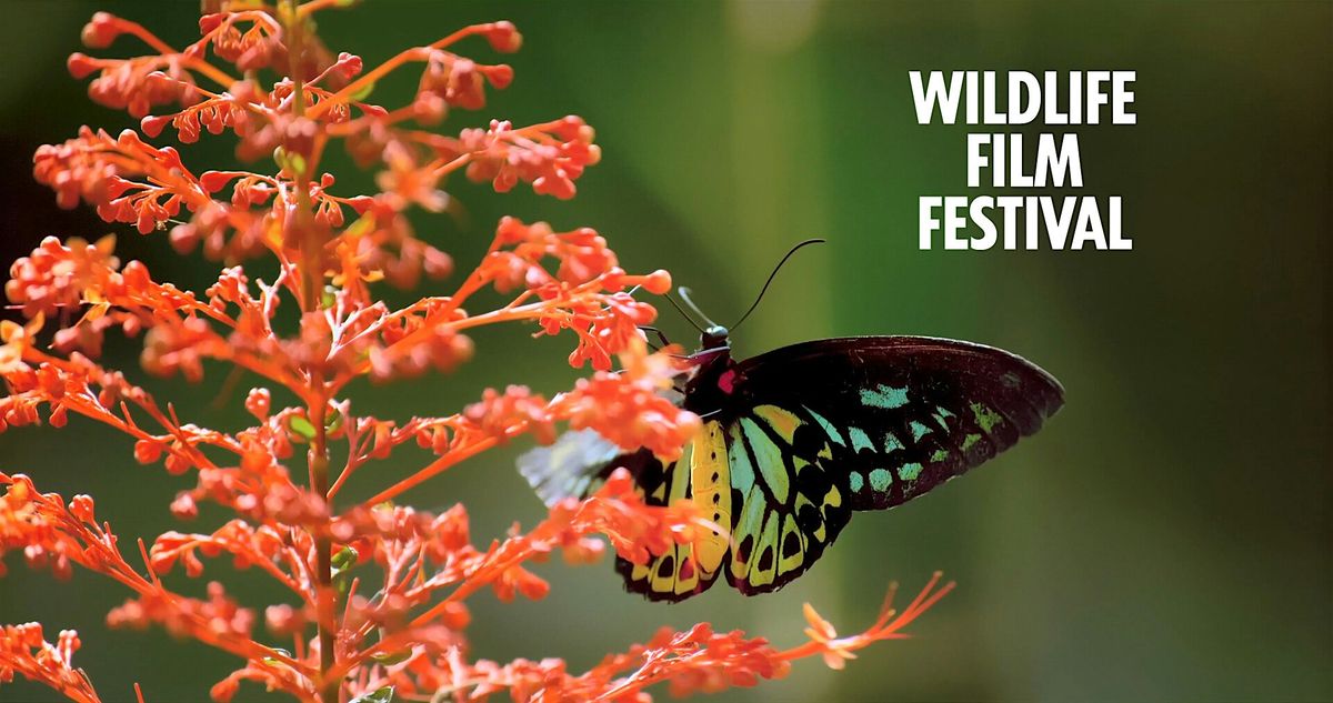 Wildlife Filmfestival X Botanische Tuin Kralingen