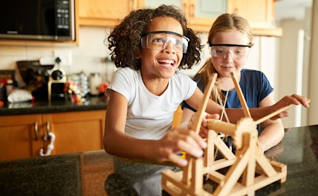 Paddle pop stick catapults