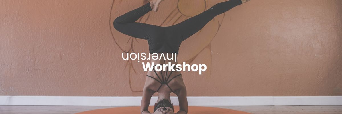 Inversion Workshop