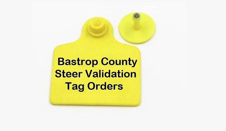 2023-2024 Bastrop County Steer Validation