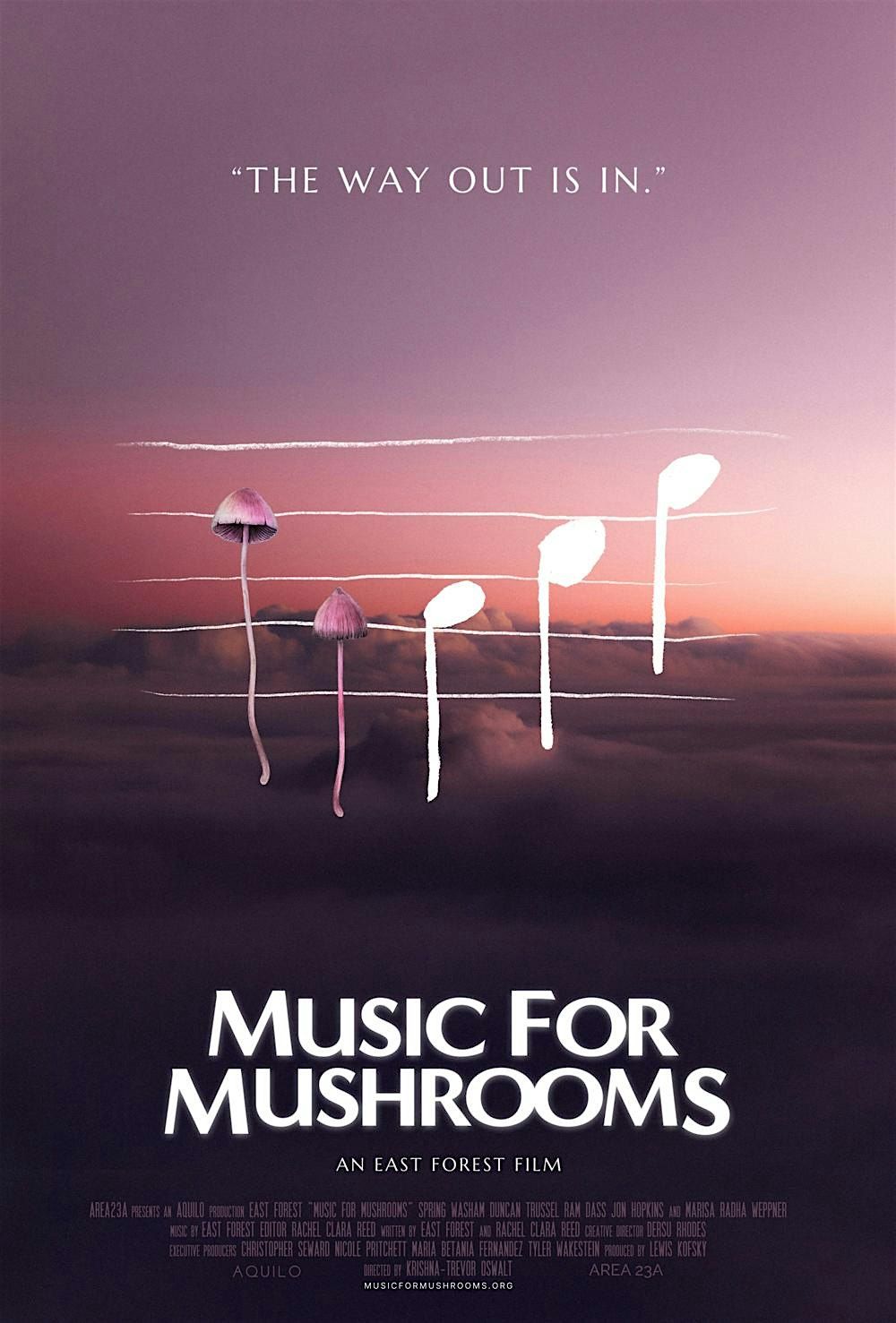 MUSIC FOR MUSHROOMS