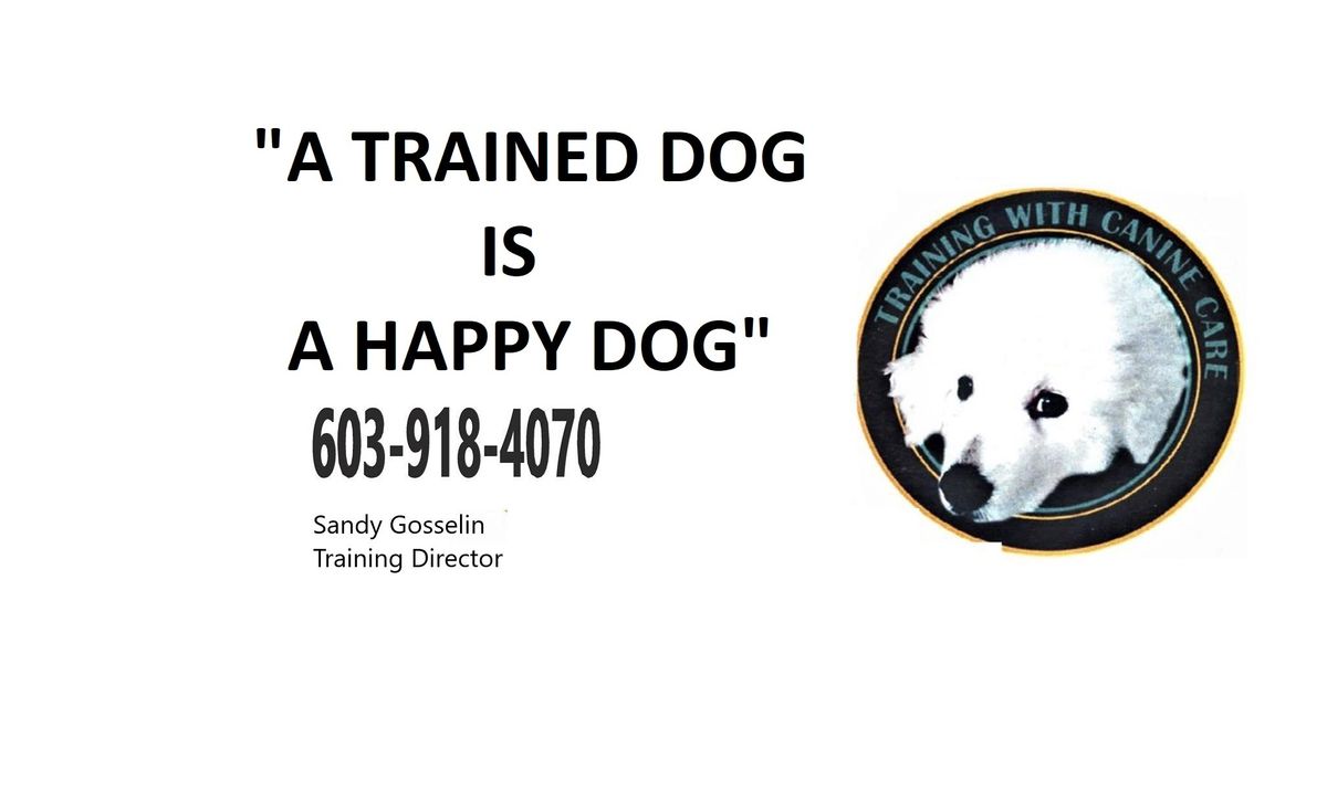 Training With Canine Care 