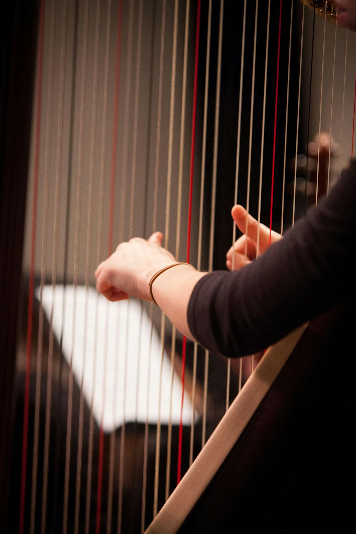 AYPO's Harp Ensemble, Prelude Strings & Debut Orchestra in Concert