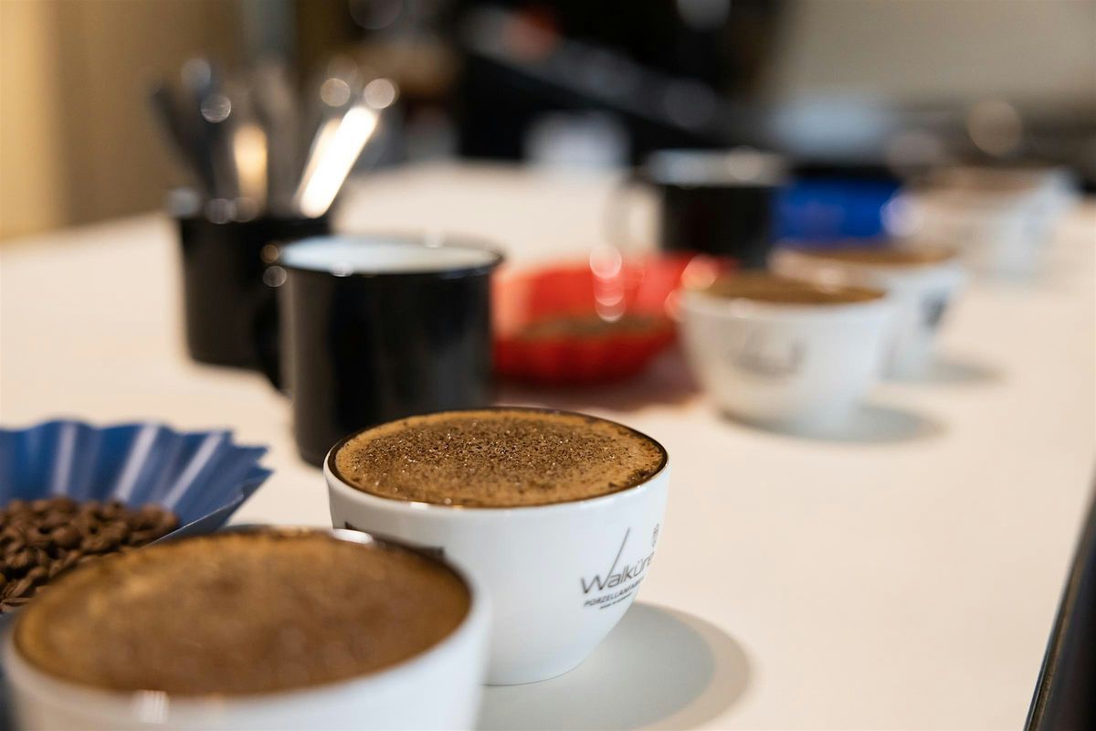 KAFFEEKIRSCHE Coffee Cupping - Tauche in die Geschmackswelt des Kaffees ab