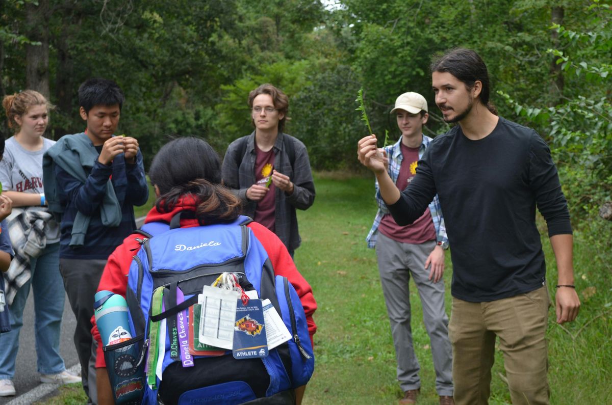 Foraging on Campus (LS)