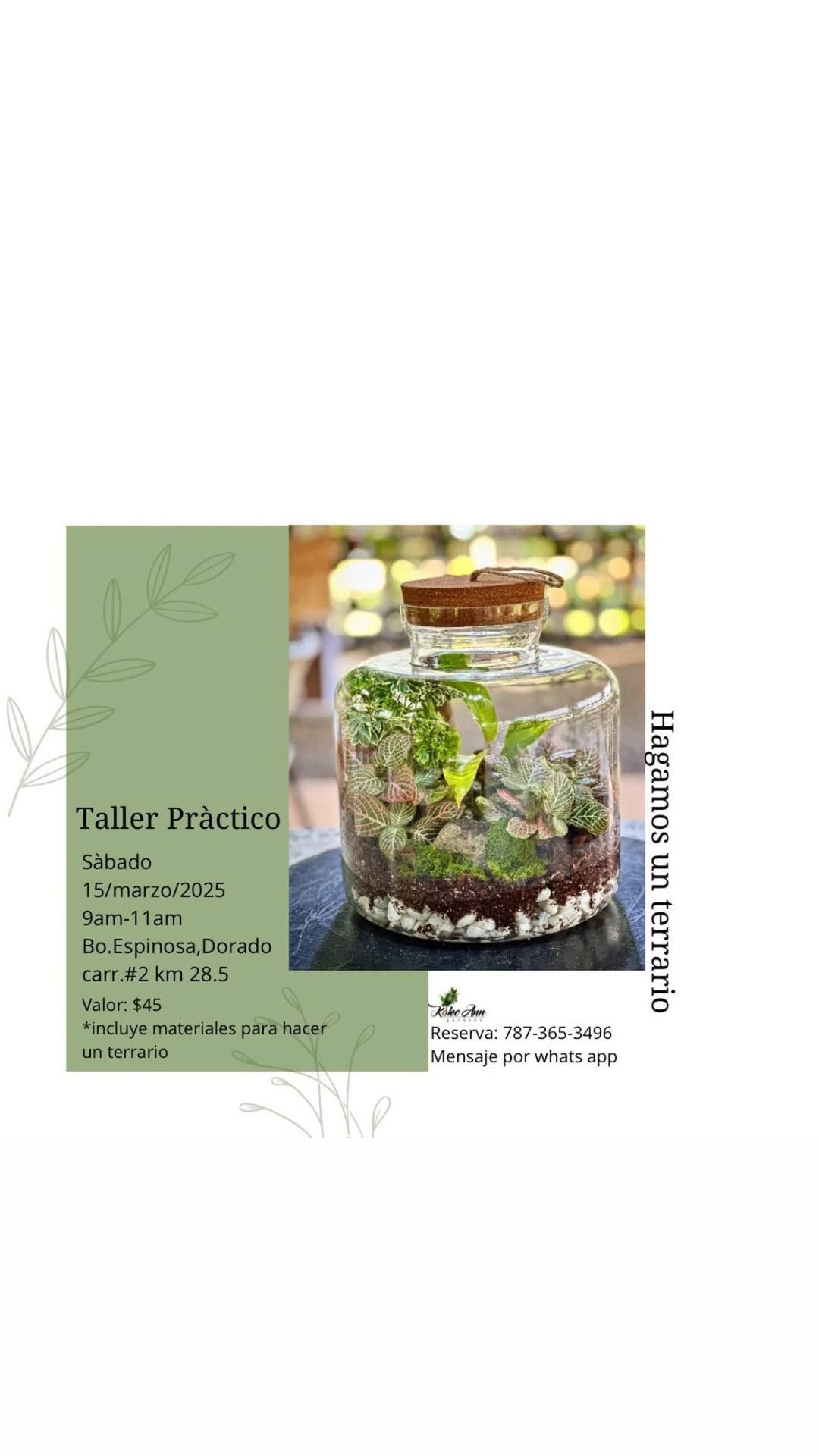 Taller Hagamos un terrario