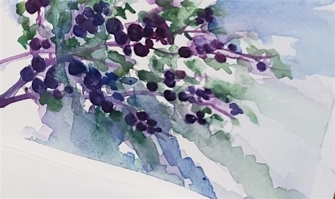 Watercolour Painting Workshop