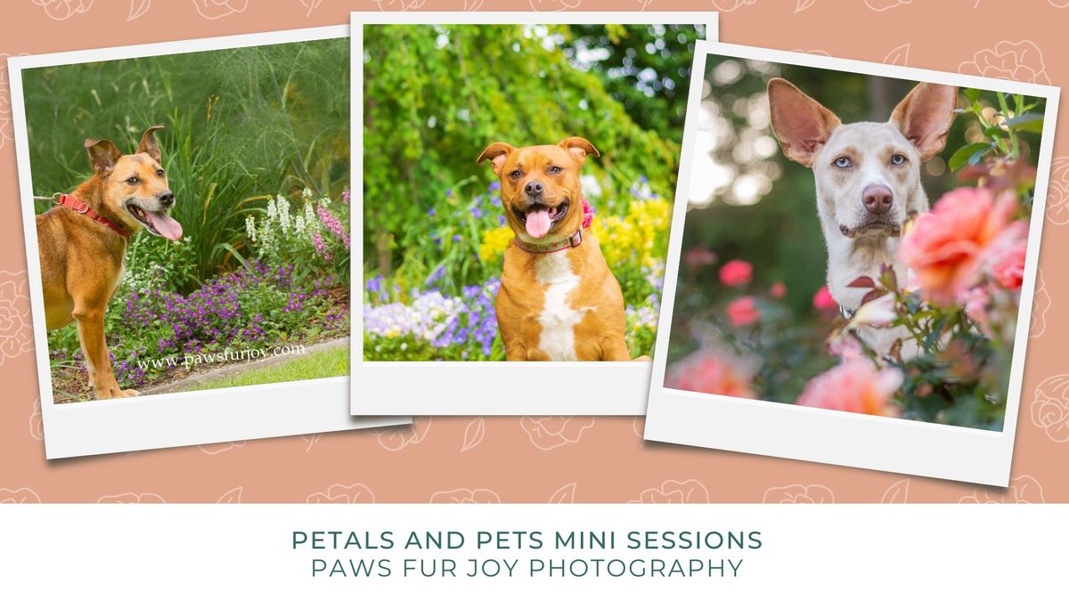 Petals and Pets mini sessions with Paws Fur Joy Photography