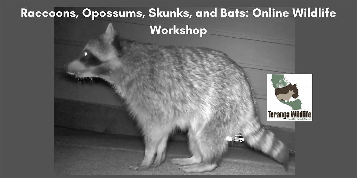 Raccoons, Opossums, Skunks, and Bats: Online Wildlife Workshop