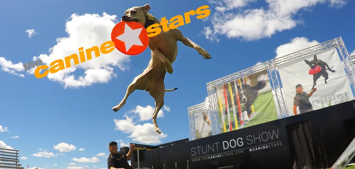 Canine Stars Stunt Dog Show