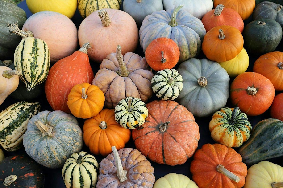 Pumpkin Carving Party