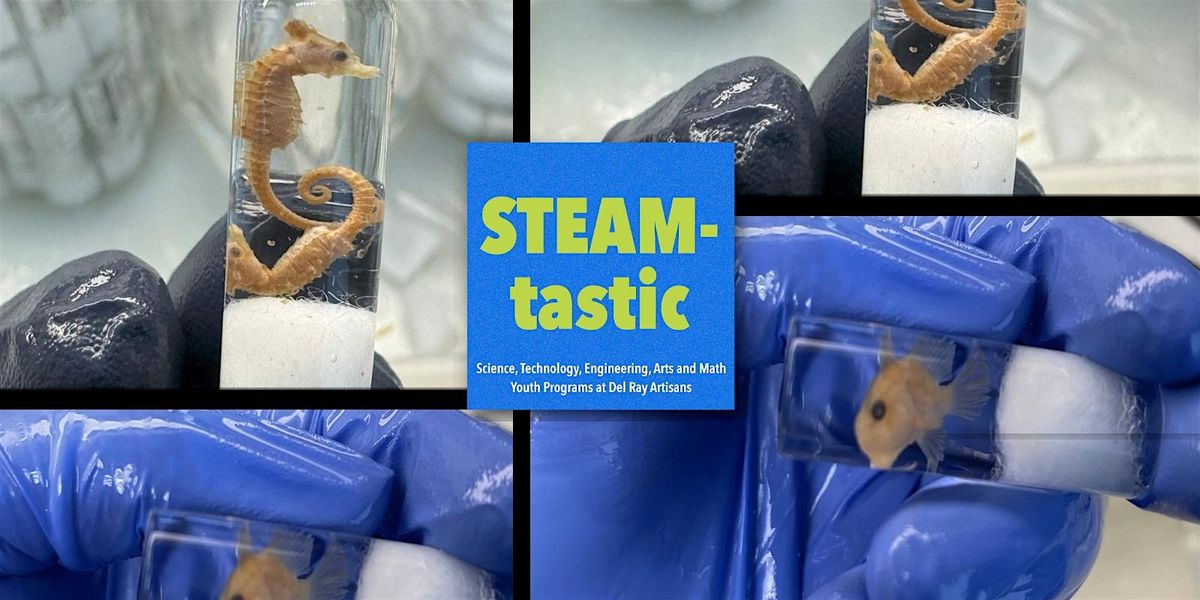 STEAM-tastic: Museum Fluid Collections (Ages 10-15)