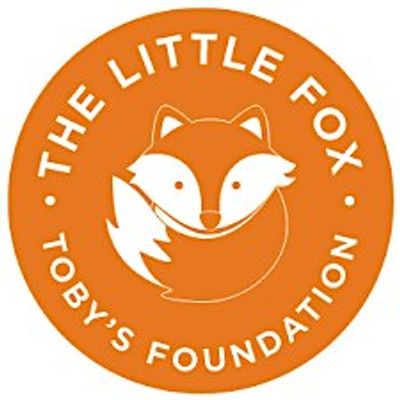 The Little Fox - Toby\u2019s Foundation