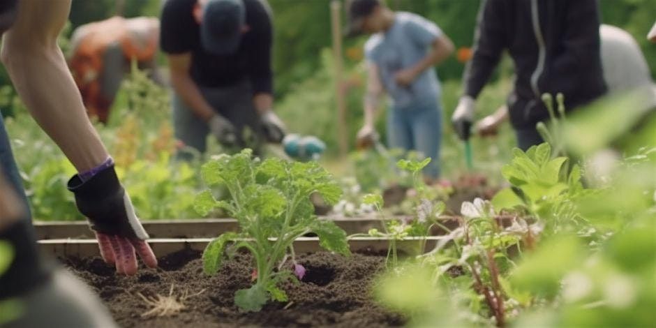 Sustainable Gardening Practices