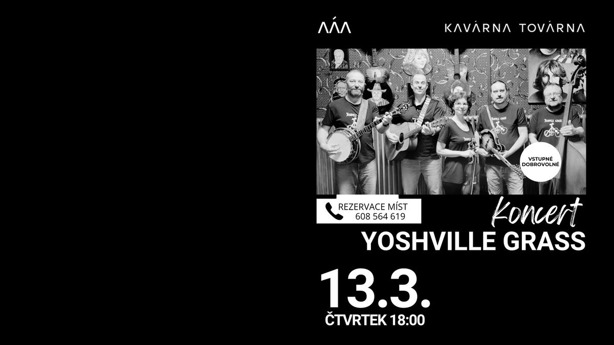 KONCERT YOSHVILLE GRASS