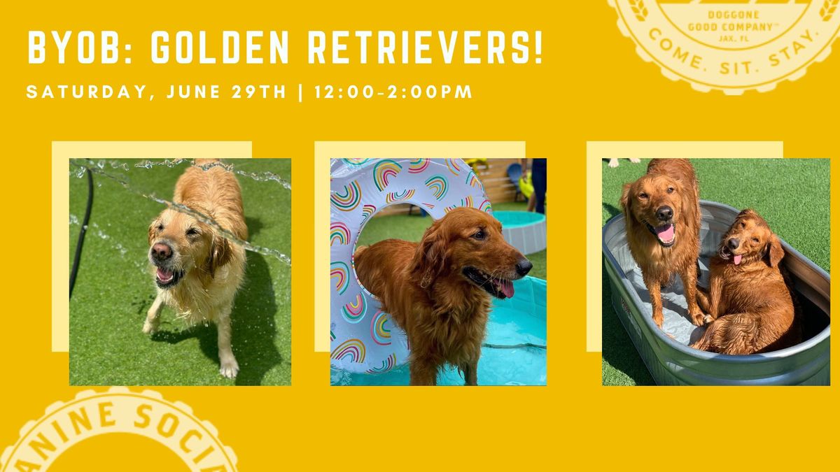 Bring your own breed: Goldens! 