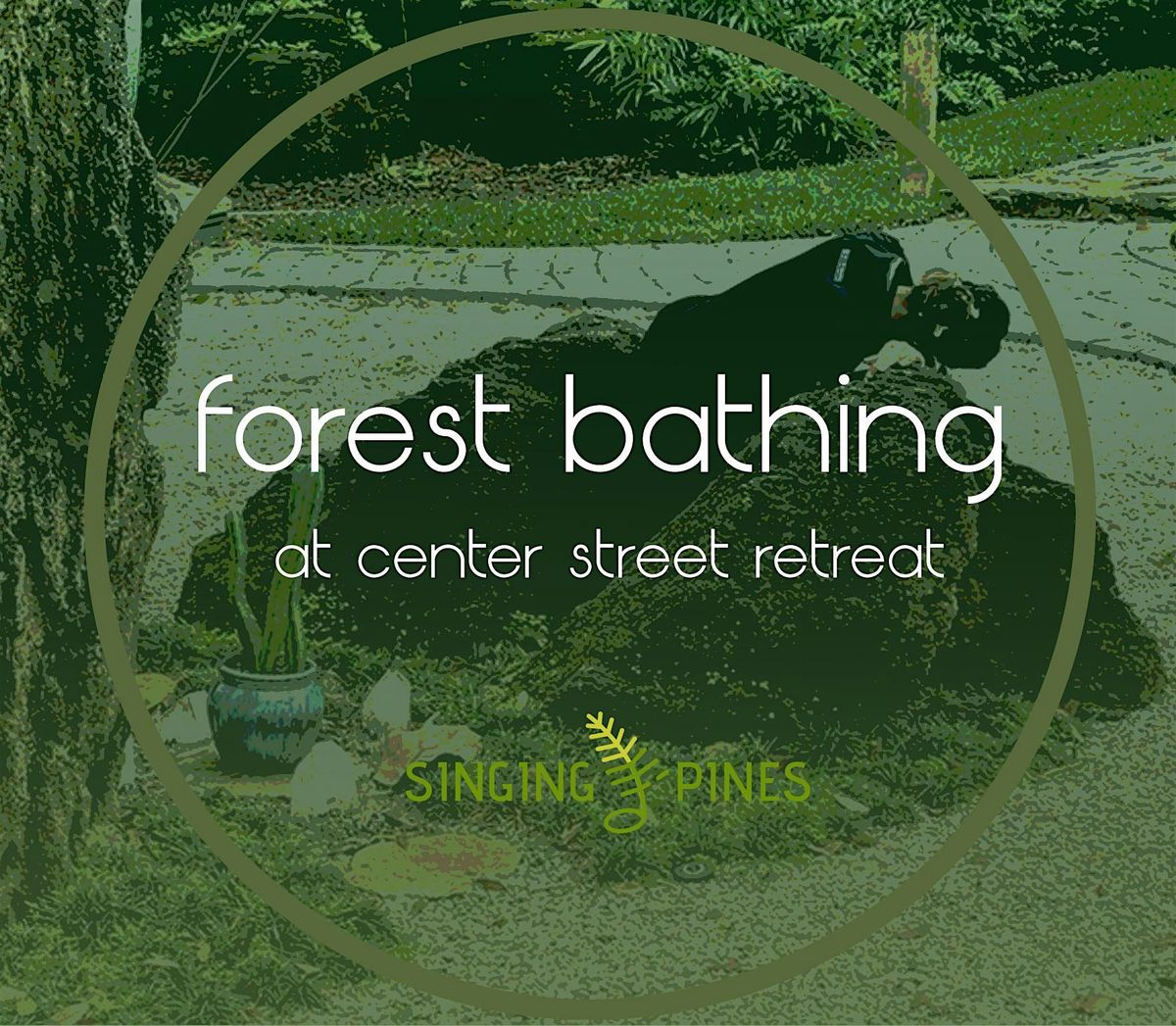 Forest Bathing at Center Street Retreat