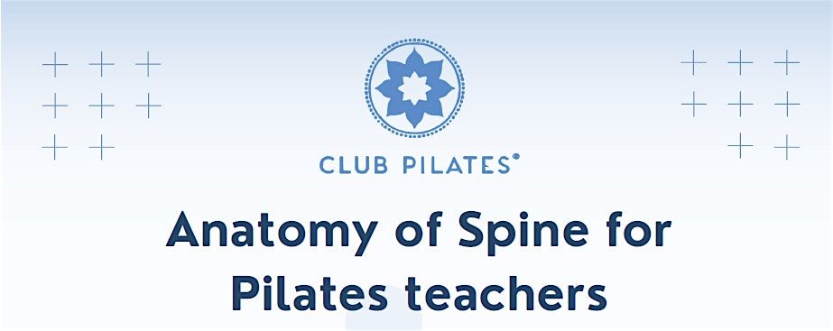 Anatomy of spine for Pilates teachers