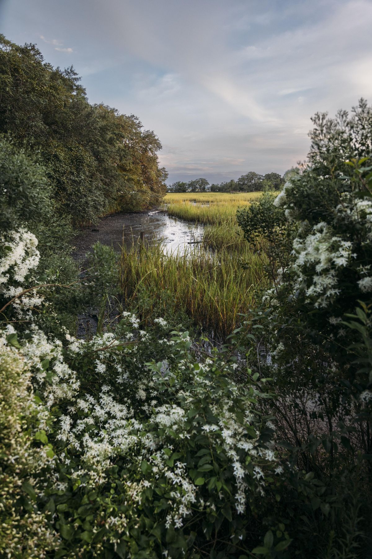 Conserve + Preserve Wagener Terrace Tour, First Memorial Day