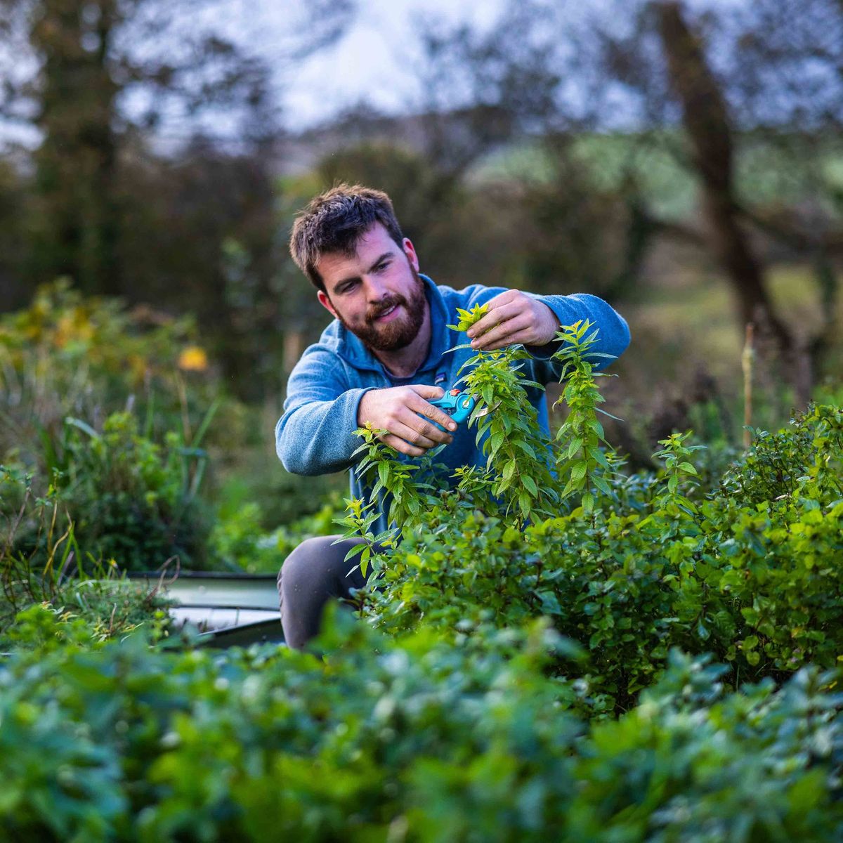 Gardening Masterclass with Huw Richards