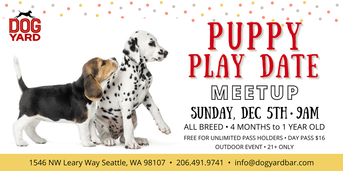 Puppy Play Date Meetup at the Dog Yard in Ballard - Dec 5th - All Breed