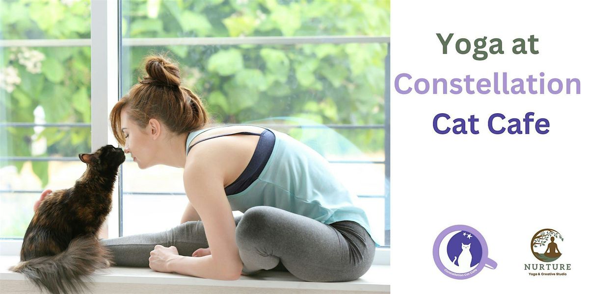 Yoga at Constellation Cat Cafe (August 13)