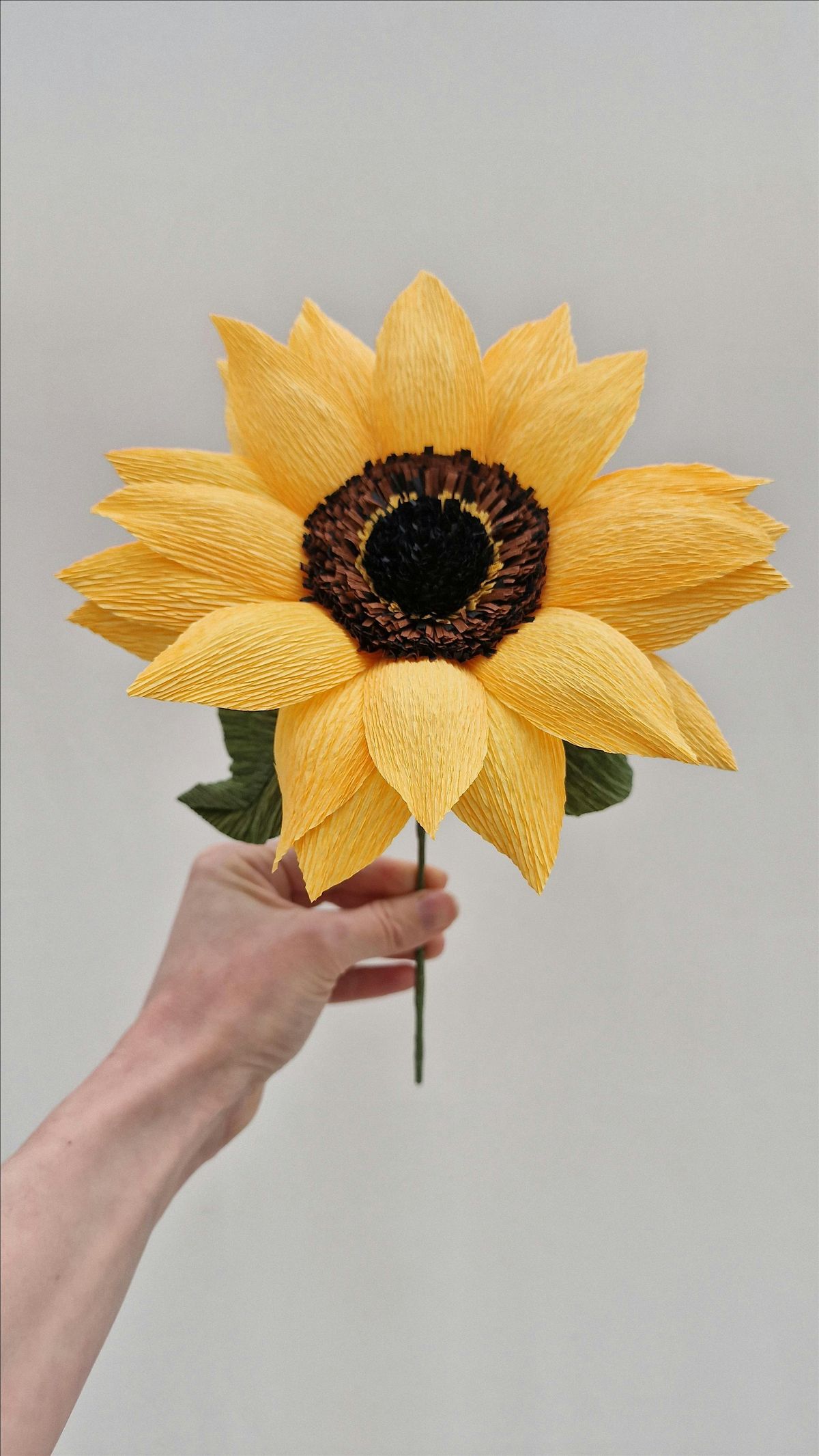 Killearn Paper Sunflower Workshop