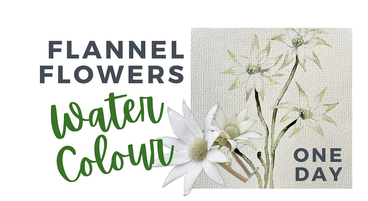 ONE DAY Flannel Flower Watercolour painting Workshop. Saturday.