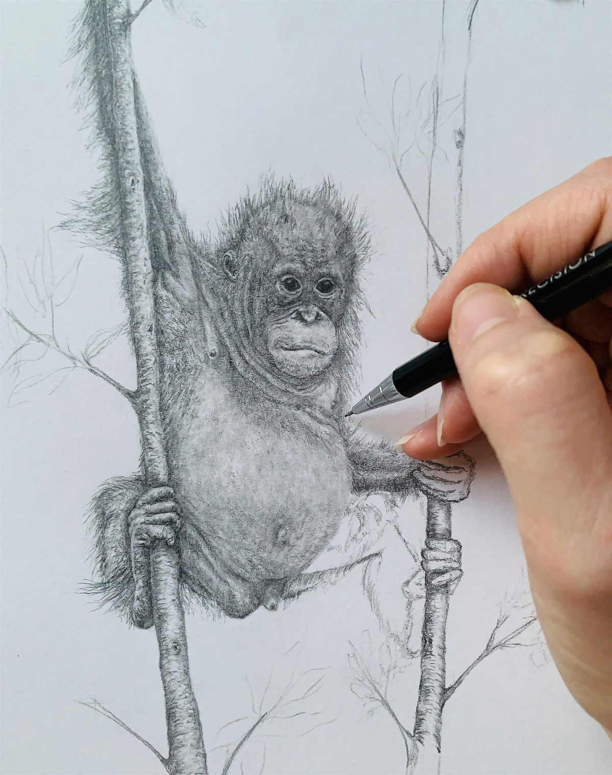 Drink and Draw Blackpool Zoo