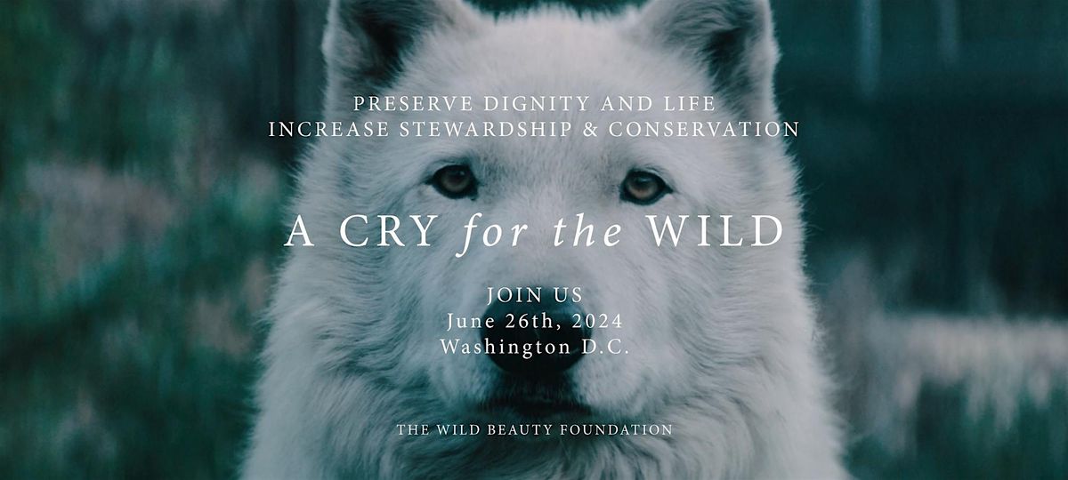 Rally: A Cry for the Wild