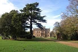 Autumn Plant, tree and wildlife identification walk at Kingsweston House