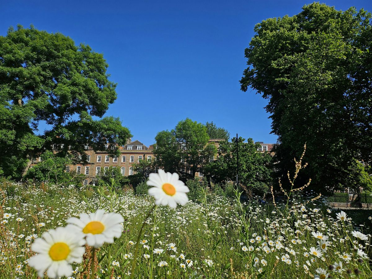 The Clapham Common Guided Tour