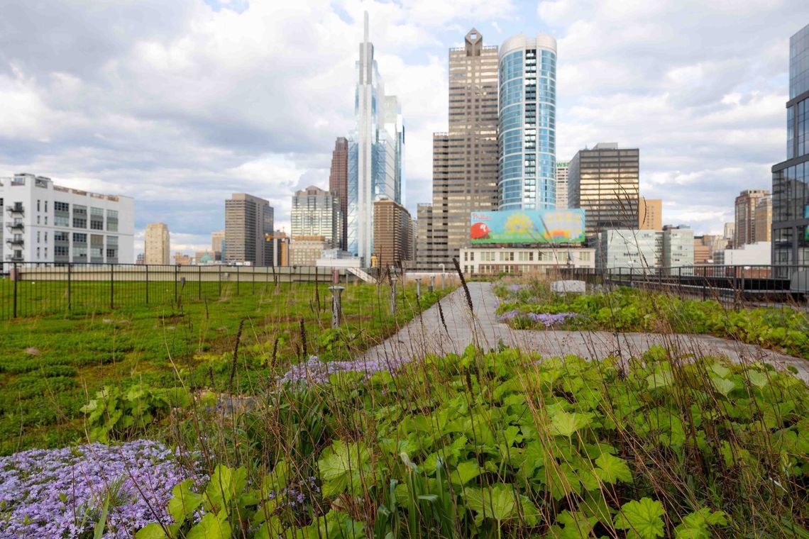 Tour the PECO Green Roof
