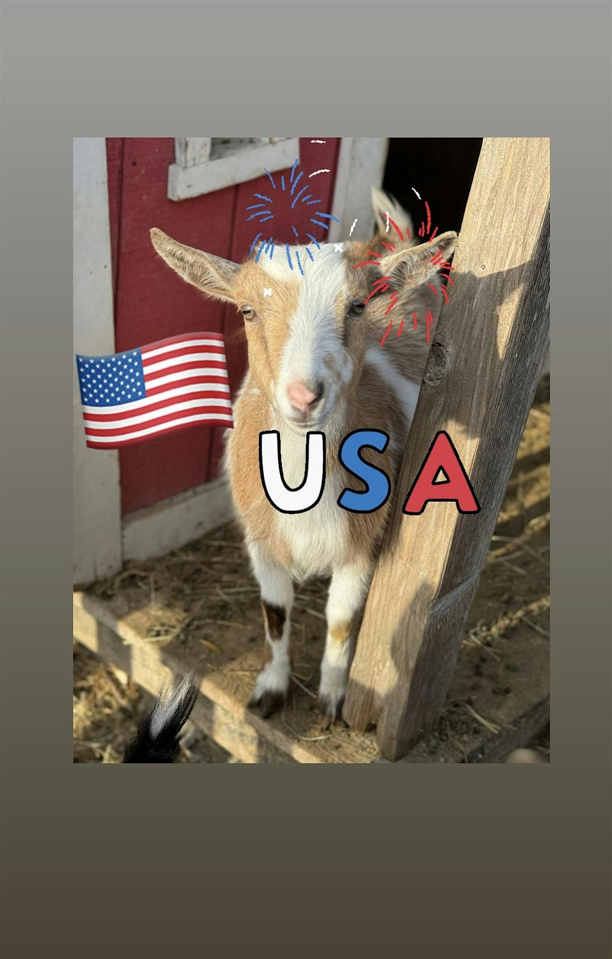 Christmas day yoga nashville